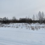 Зима в Подмосковье